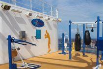 Wellness Cruise Line Seeks Funding