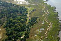 Fatal ferry dock collapse on Sapelo Island leaves 7 dead