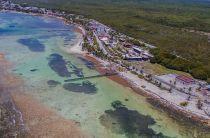 RCI-Royal Caribbean partners with MARES Center for coastal ecosystem restoration in Mahahual/Costa Maya